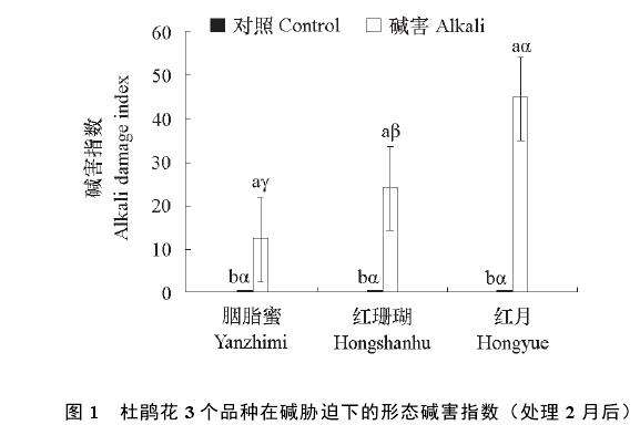 碱胁迫下杜鹃花抗氧化体系的结果与分析