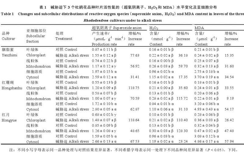 碱胁迫下杜鹃花抗氧化体系的结果与分析