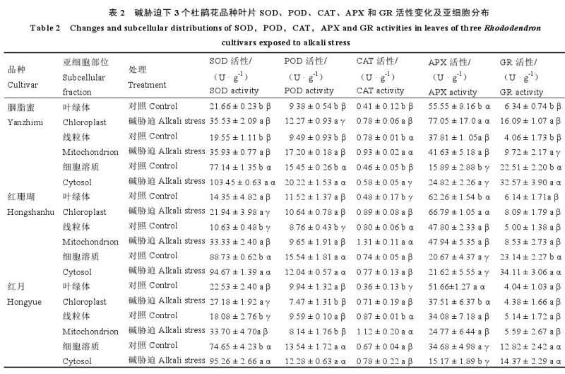 碱处理下杜鹃花活性的变化及亚细胞分布