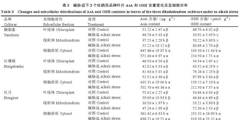 碱处理下杜鹃花AsA含量的变化及亚细胞分布