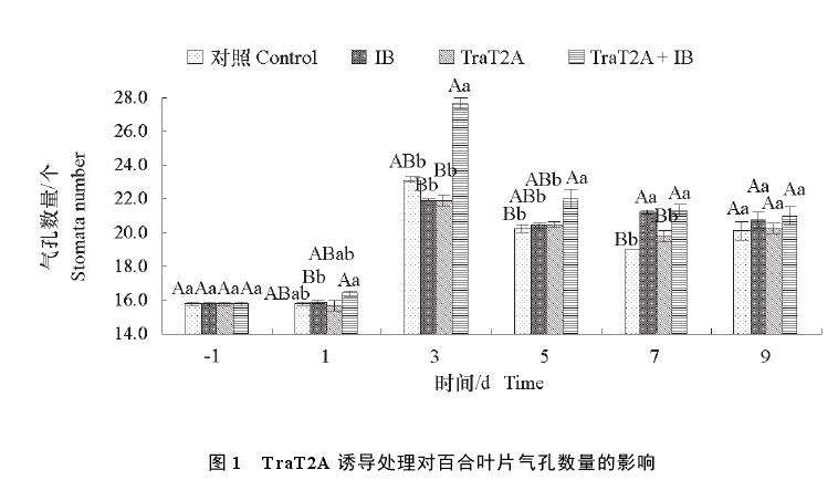 T2A 诱导处理对百合叶片气孔特性影响