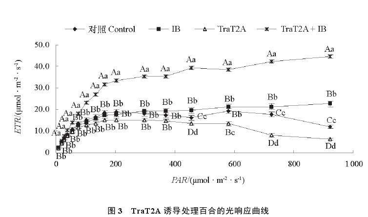 TraT2A诱导处理对百合叶片光响应曲线的影响