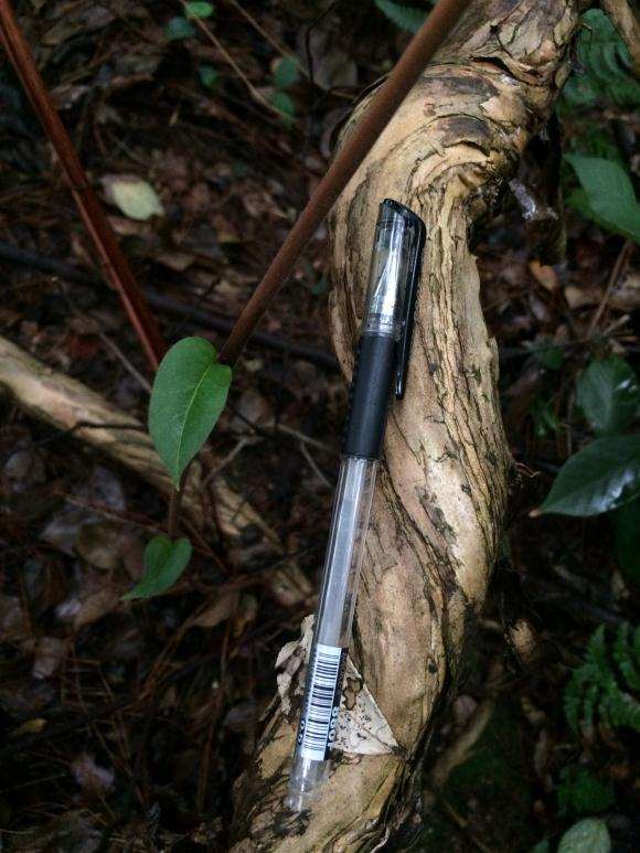 金银花下山桩截下来可以成活吗