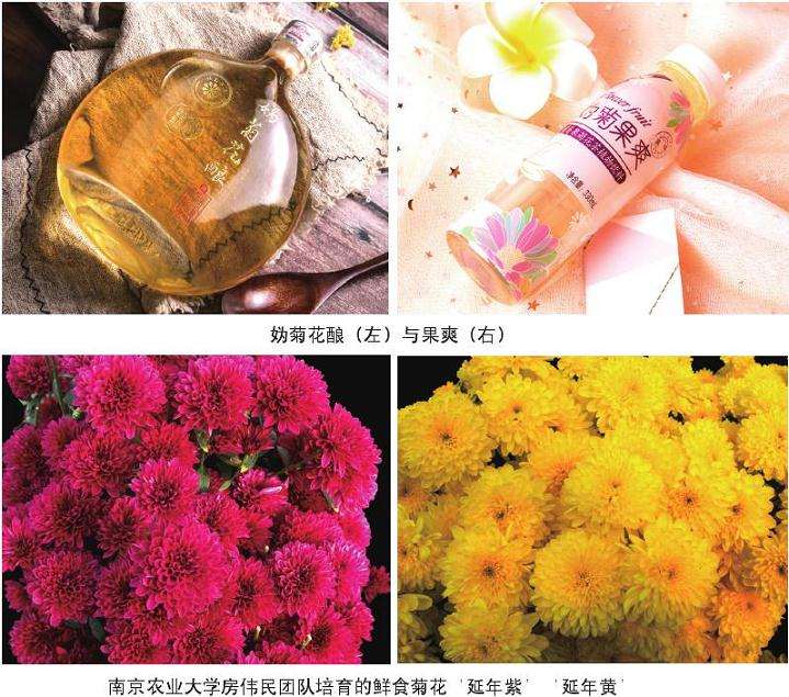 花仙子万花园罗勒供货量可达上百万盆