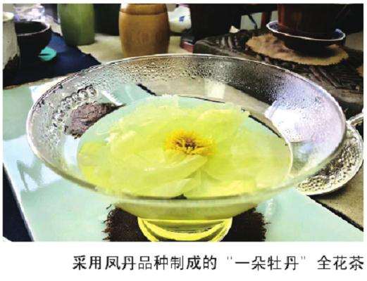 2020年 食用花卉种植面积在不断攀升