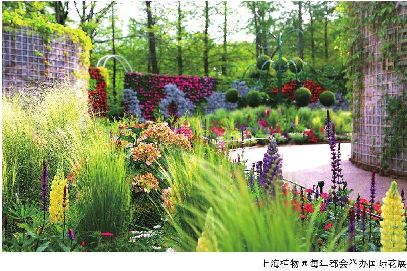 在上海哪里赏花比较好