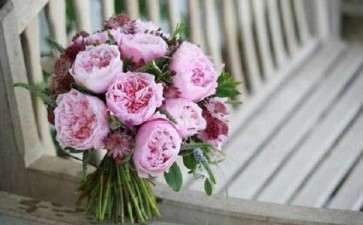 2020年4月成都切花市场行情