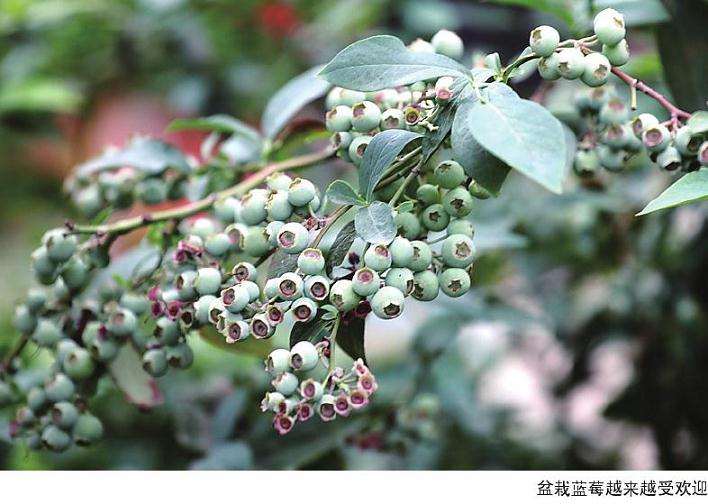 在花园中享受被四季追赶的乐趣
