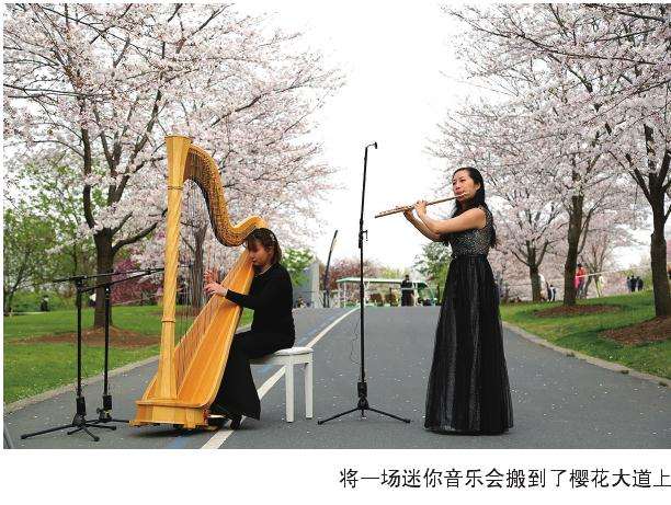 云赏花刷遍朋友圈