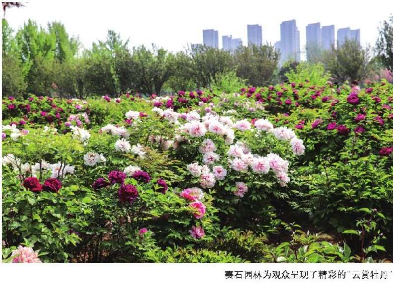 2020年4月带您云赏花的直播活动