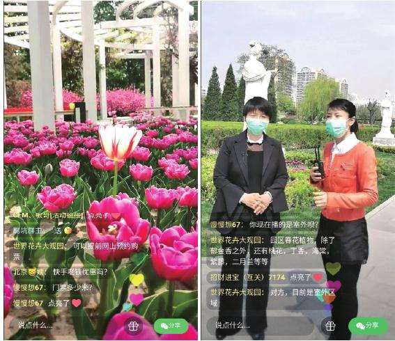 2020年4月带您云赏花的直播活动