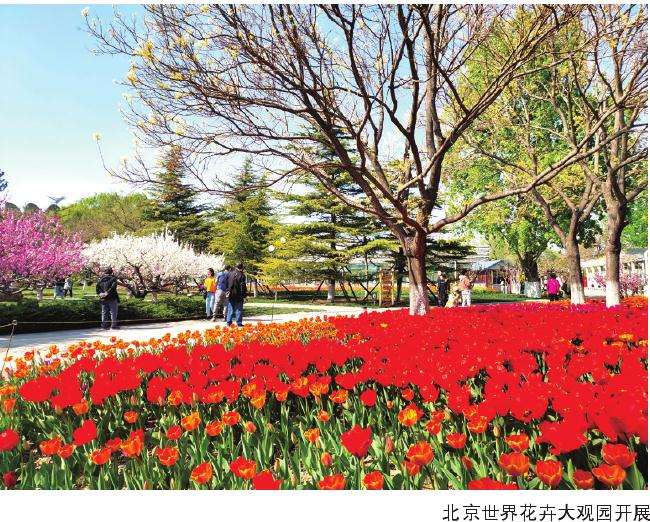 第二届菏泽花朝节于4月启幕