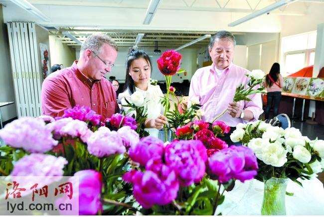 洛阳切花芍药上市疫情影响出口大幅减少