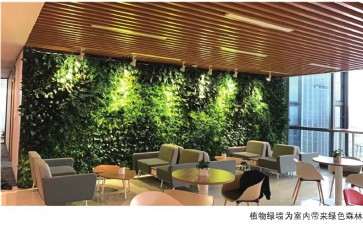 智能花器和植物墙怎么可以进家庭