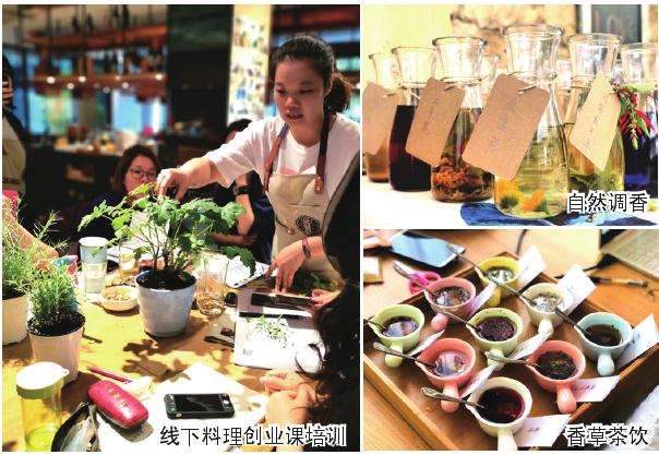 国内香草产业得到快速发展