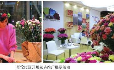 2020年疫情影响 哥伦比亚花卉产销的困境