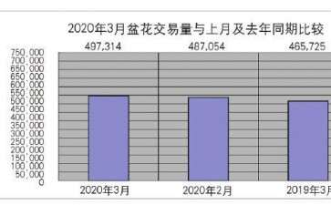 2020年3月台北花卉市场盆花行情