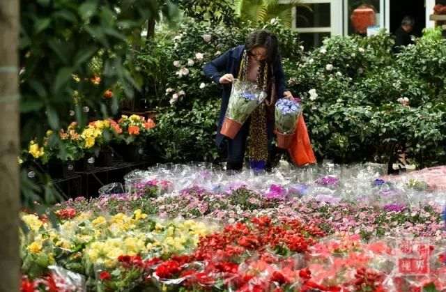 日本花市助力花卉融入国民日常生活