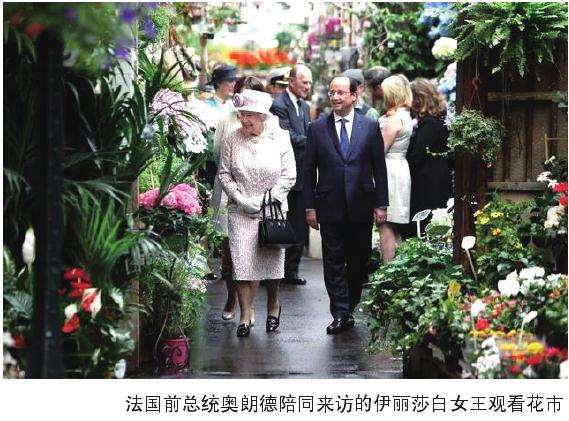 日本花市助力花卉融入国民日常生活