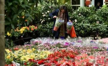 日本花市助力花卉融入国民日常生活