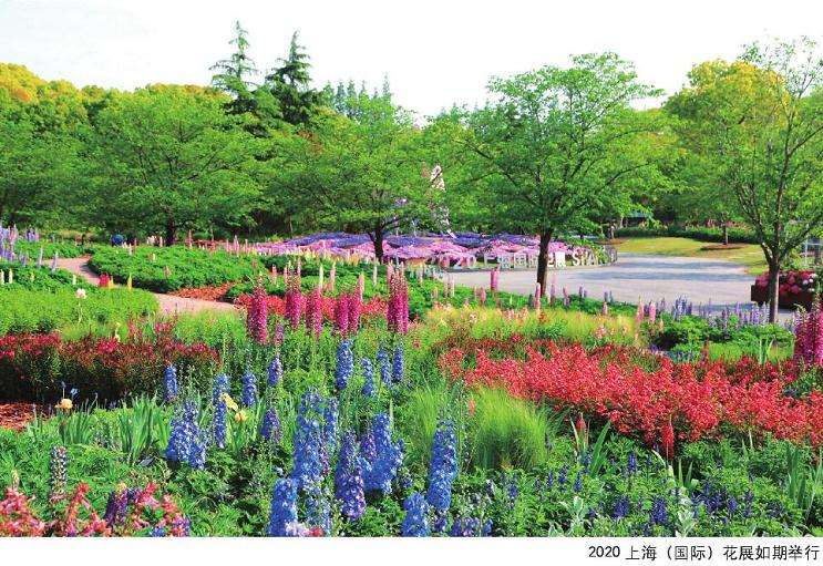 2020年 上海国际花展在植物园举办