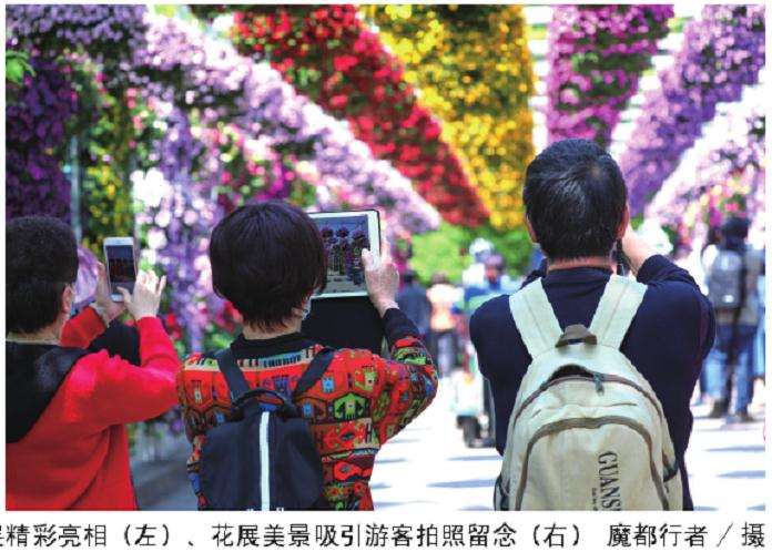 2020年 上海国际花展在植物园举办