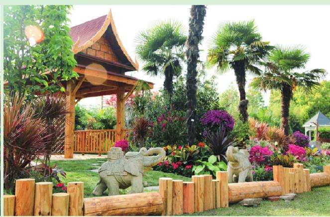 2020年 上海国际花展在植物园举办