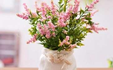 2019年10月漳州水仙花球收购已达60%