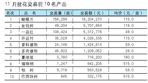 2019年11月台北盆花市场的行情