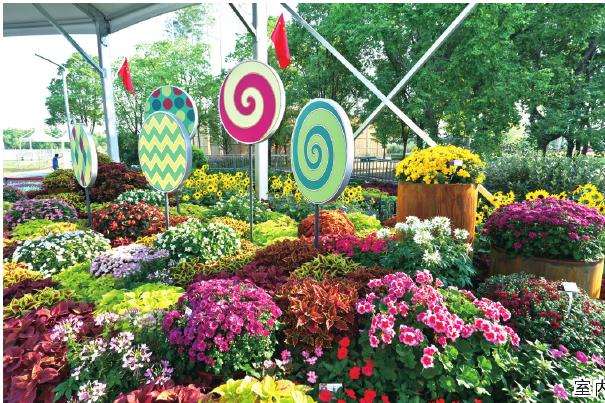 花卉的家庭消费与公共消费