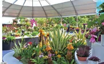 2030年 花卉的家庭消费与公共消费