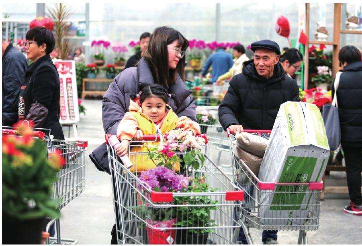 2030年鲜切花的比重变化