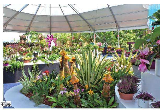 2030年鲜切花的比重变化