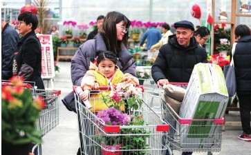 2030年鲜切花的比重变化