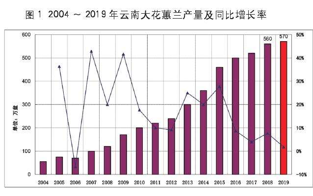 2019年云南大花蕙兰产量较去年预期减少