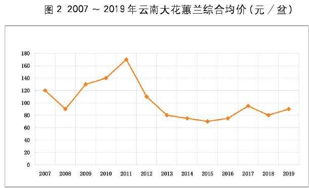 为什么2019年是云南大花蕙兰销售的大年