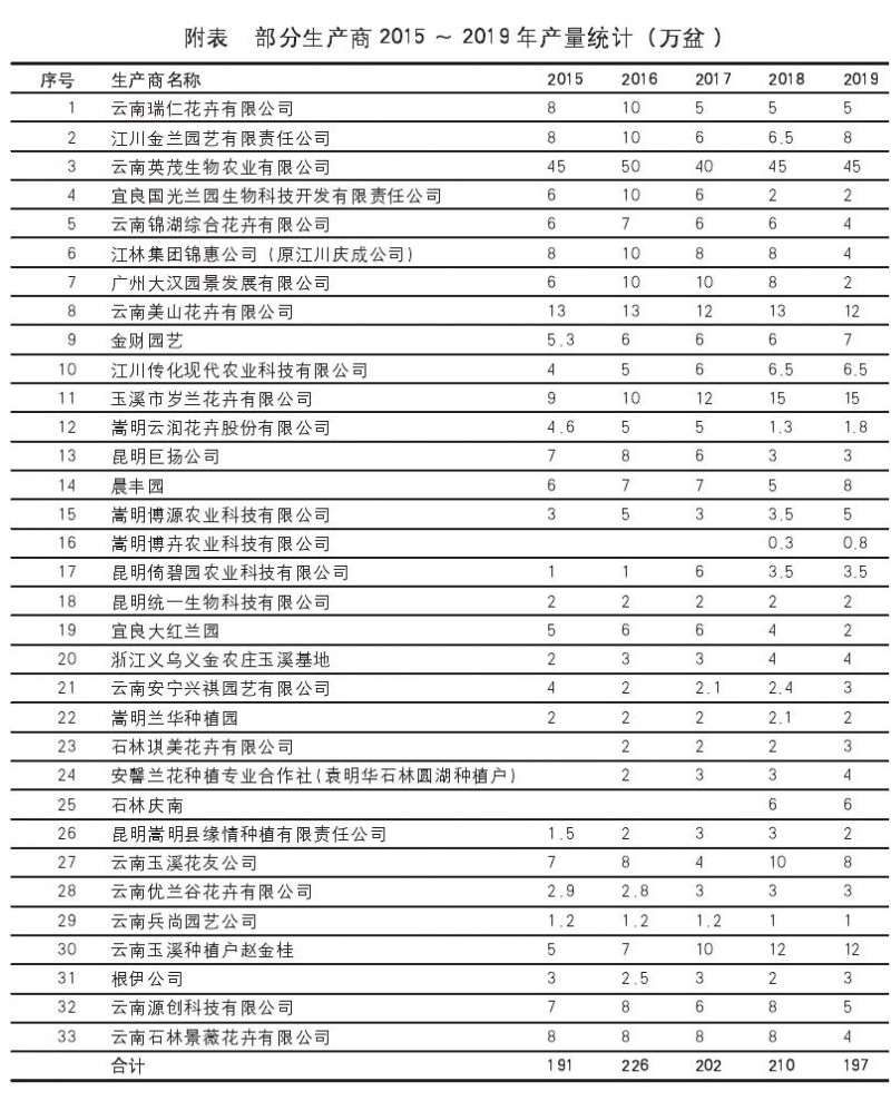 为什么2019年是云南大花蕙兰销售的大年