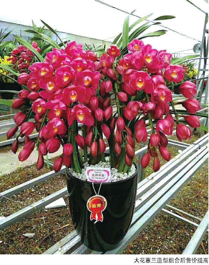 电商大花蕙兰怎么B2B和B2C模式销售