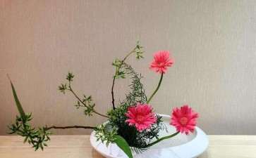 2019年第二届重庆统插花大赛结束