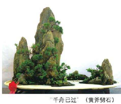 海派山水盆景怎么构思立意的方法