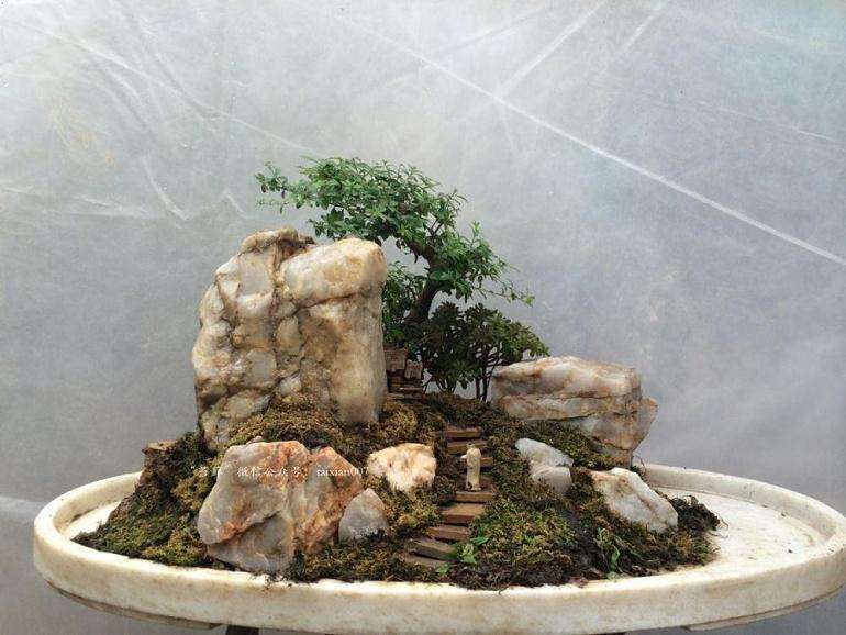 海派山水盆景怎么配置胶合的方法