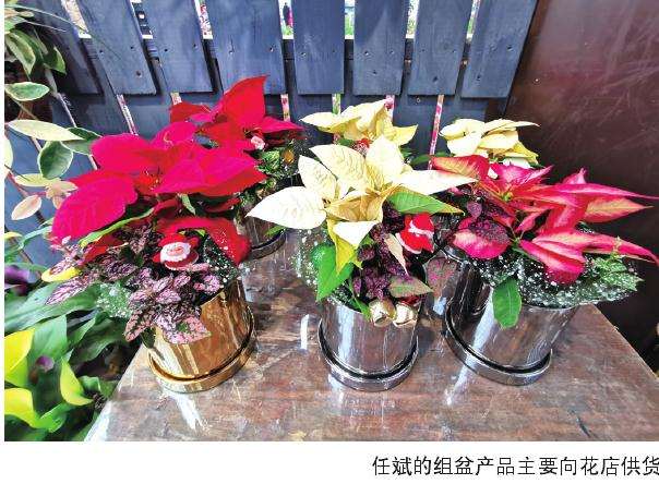 花样手段助力年宵花走入千家万户