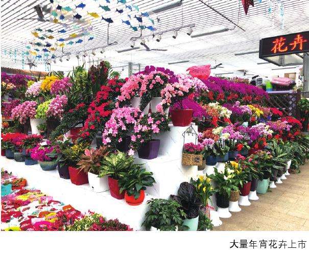 2020年新春年宵花消费意向调查结果产生