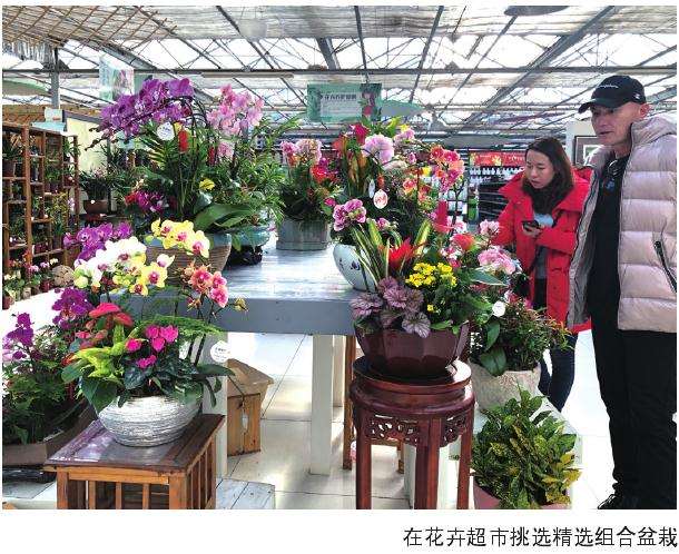 2020年新春年宵花消费意向调查结果产生