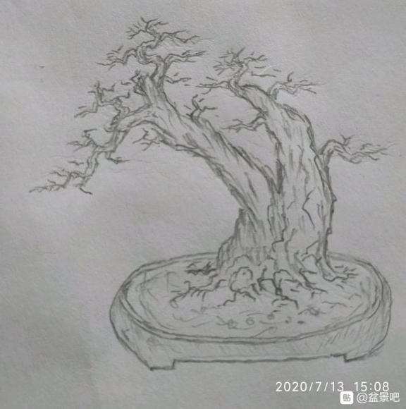 我设计的山楂下山桩构图