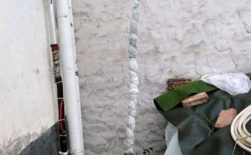 茶花下山桩顶端还需要套袋吗 图片