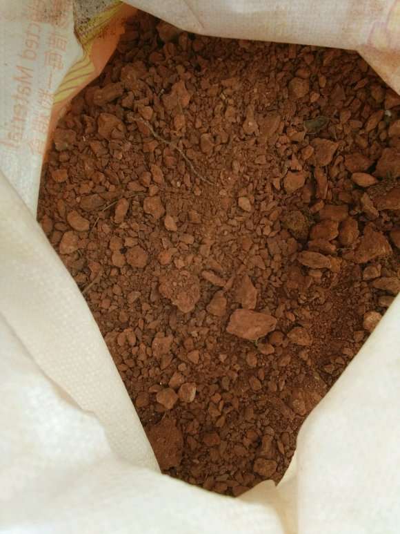 茶花下山桩能不能用红土