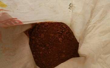 茶花下山桩能不能用红土 图片