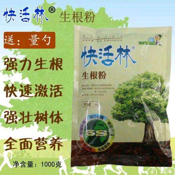 油茶下山桩怎么种 提高成活率