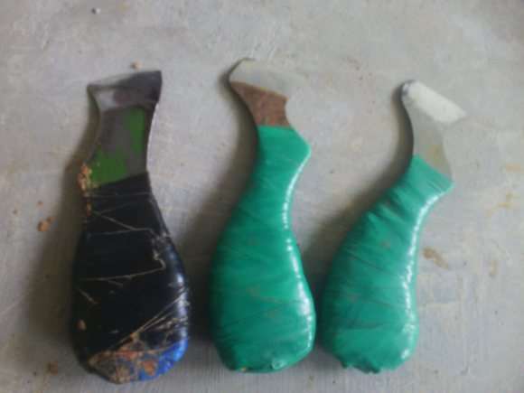 茶花下山桩怎么嫁接的方法 图片